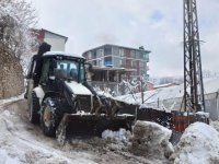 Çukurca'da karla mücadele başlatıldı