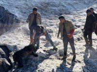 Hakkari’de yavru ayı DKMP ekipleri tarafından kurtarıldı
