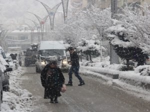 Hakkari'de kar yağışı