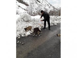 Duyarlı vatandaşlardan örnek davranış