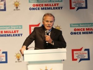 Eski TBMM Başkanı Şahin: 'Eski sistemin son seçimi'
