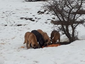 Hastane yönetiminden örnek davranış