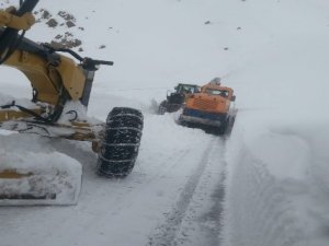 Hakkari'de karla mücadele çalışması