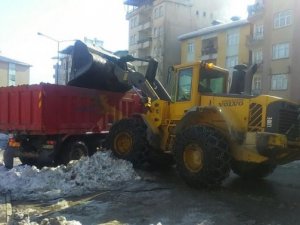 Hakkari Belediyesinden Kar Mesaisi