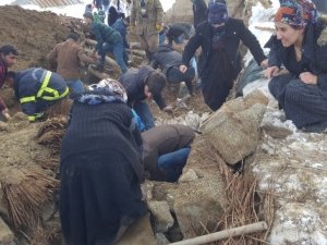 Yüksekova'da ahır çöktü: 4 inek telef oldu