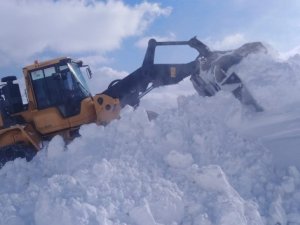 Hakkari'de 64 yerleşim yeri kapandı