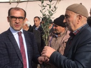 Çukurcalı çiftçilere 10 bin adet ücretsiz meyve fidanı dağıtımı yapıldı