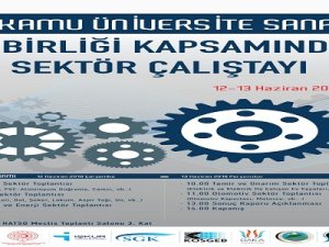Hakkari'de 1. Kamu Üniversite Sanayi Çalıştayı düzenlenecek