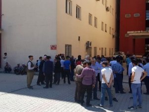 Hakkari'de pancar toplayan vatandaş kayalıklardan düştü
