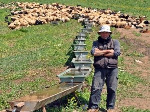 İran'dan gelip Yüksekova'da ayda 3 bin 400 TL'ye çoban oldu