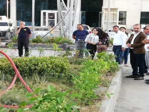 Belediye encümenleri caddeleri yeşillendirdi