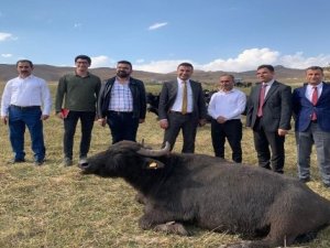 Vali Yardımcısı Gölbaşı'dan Yüksekova'ya ziyaret