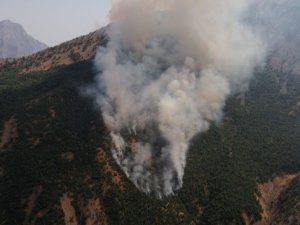 Akkaya köyünde orman yangını çıktı