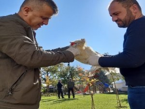 Hakkari'de evcil hayvanlar sağlık kontrolünden geçirildi