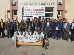 Denetimli serbestlik yükümlüleri fidan dağıttı