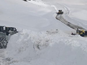 Hakkari'de 21 köy ve 67 mezra yolu ulaşıma kapandı