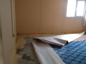 Evini su basan dul kadın yardım bekliyor