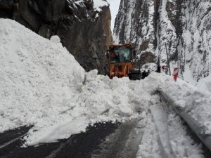 Hakkari-Van kara yoluna çığ düştü