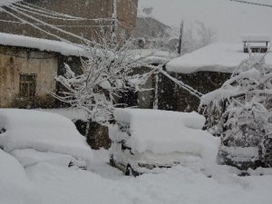 Hakkari'de 44 yerleşim yeri ulaşıma kapandı