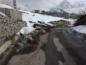 Hakkari'de kömür külleri gelişi güzel sokaklara atılıyor
