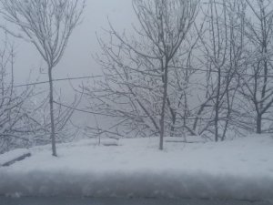 Hakkari'de kar yağışı