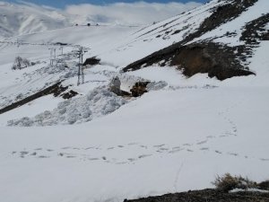 Nisan ayında kar kalınlığının 5 metreyi bulduğu yolda çalışma