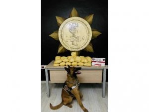 Hakkari'de 54 kilo uyuşturucu ele geçirildi