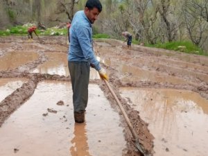 Din görevlisi çeltik tarlasında çalışarak vatandaşa destek oluyor