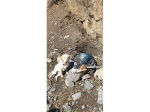 Hakkari'de TNT ve C4 ile güçlendirilmiş el yapımı patlayıcı ele geçirildi