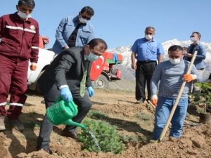 Sağlık çalışanları Vatan Tepesi'ne fidan dikti