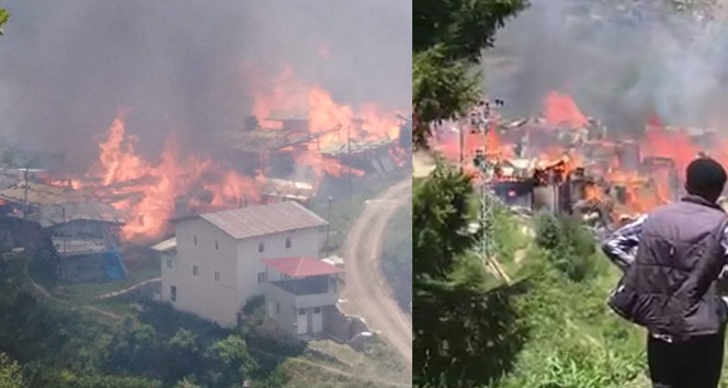 Artvin'de bir köy yanıyor Evler küle döndü