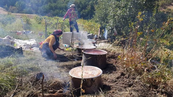 Doğal üzüm pekmezinin yapılmasına başlandı