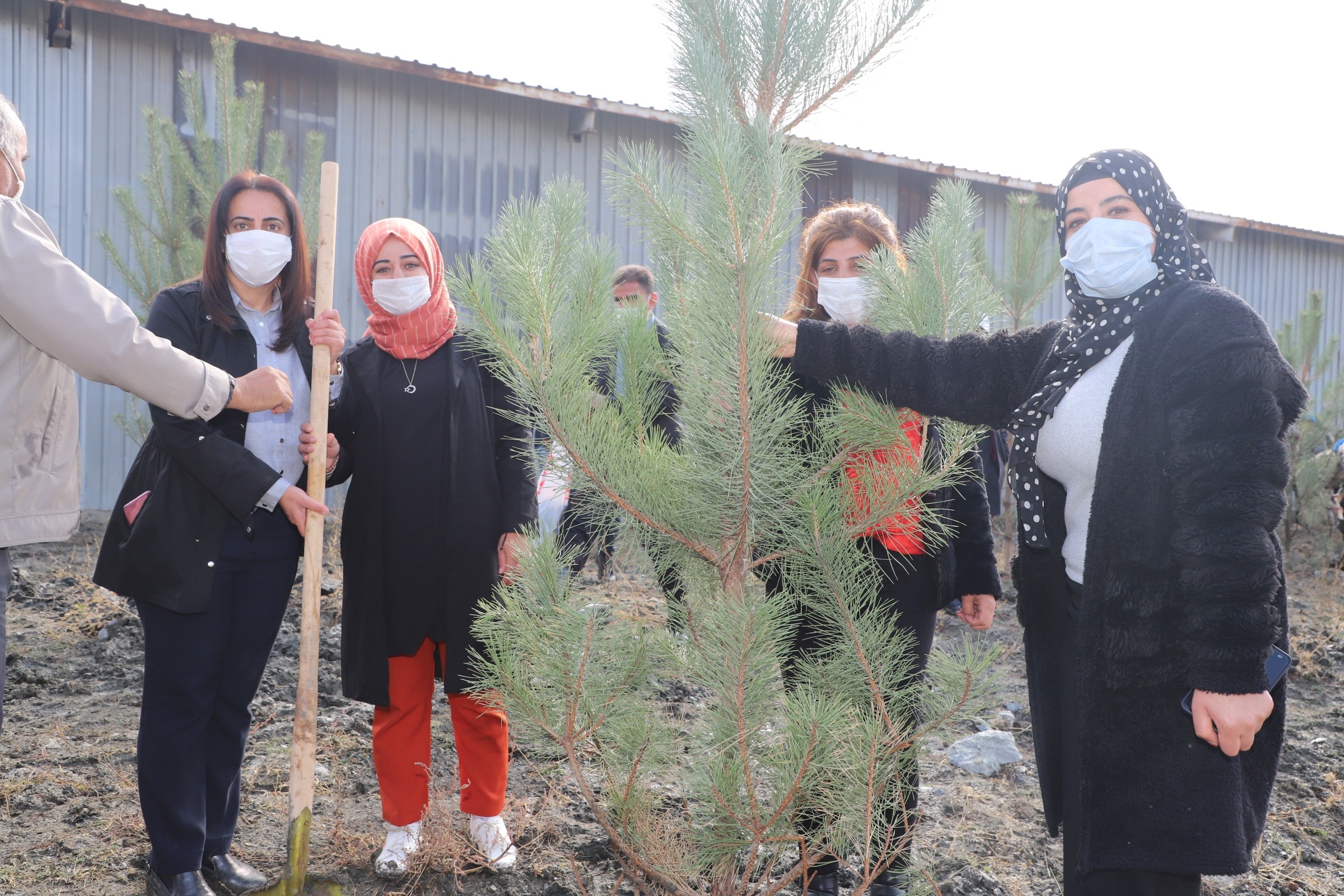 Hakkari’de 10 bin fidan toprakla buluşturuldu