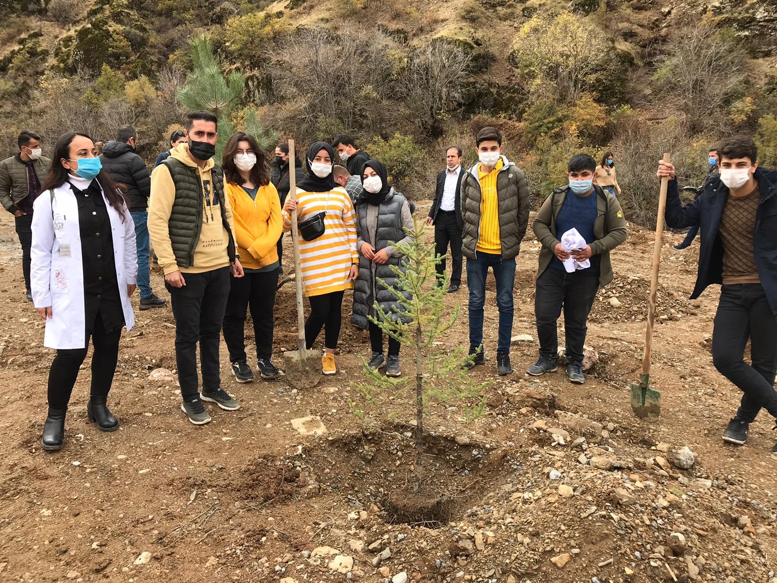 Şemdinli'de fidan dikimi