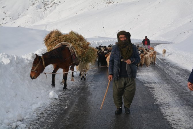 2800 rakımda mahsur kalan hayvanlar kurtarıldı