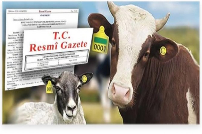 Tarıma dayalı ekonomik destek