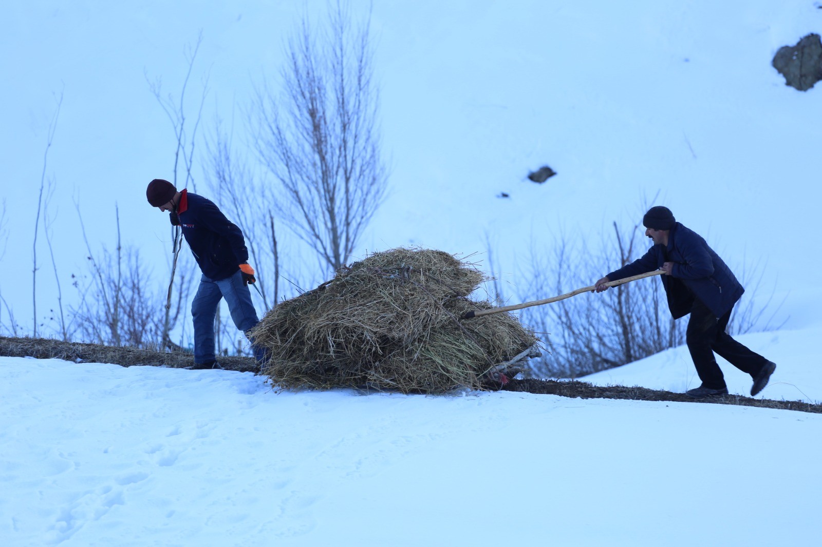 Çiftçiler soğuk havaya rağmen dağdan kızakla ot taşıyor