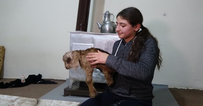 HAKKARİ'DE BACAKLARI KISA DOĞAN OĞLAĞA EVDE BAKIYORLAR
