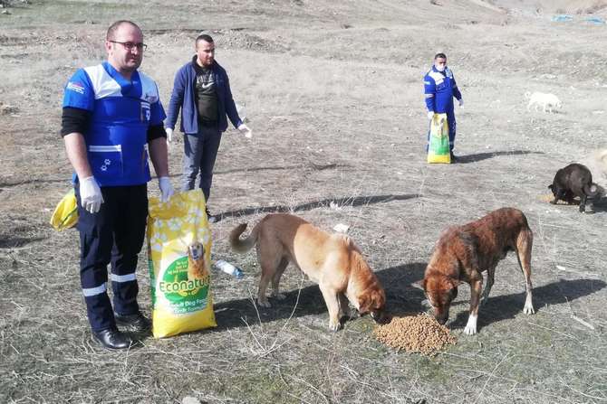 Hakkari’de can dostları kendi elleriyle beslediler