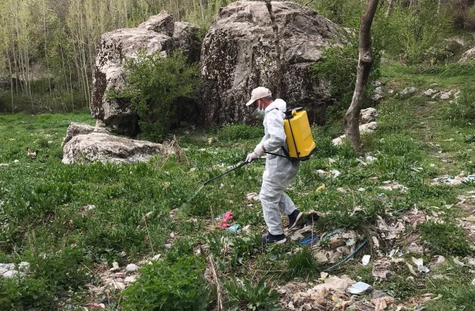 Haşere ve uçkunlarla mücadele başlatıldı