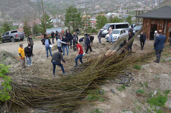 Hakkari’de 35 bin ceviz, badem ve çam fidanı dağıtıldı