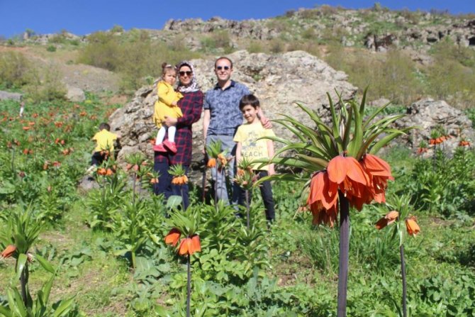 Huzur ortamıyla ters lalelere ilgi arttı