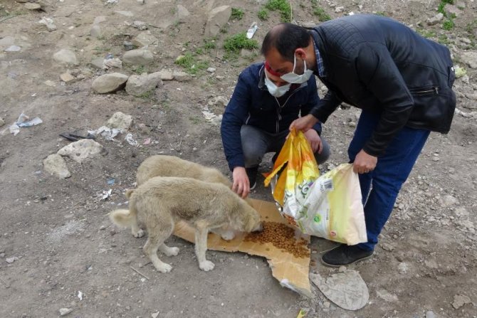 Hayvanlar için doğaya yem bırakıldı