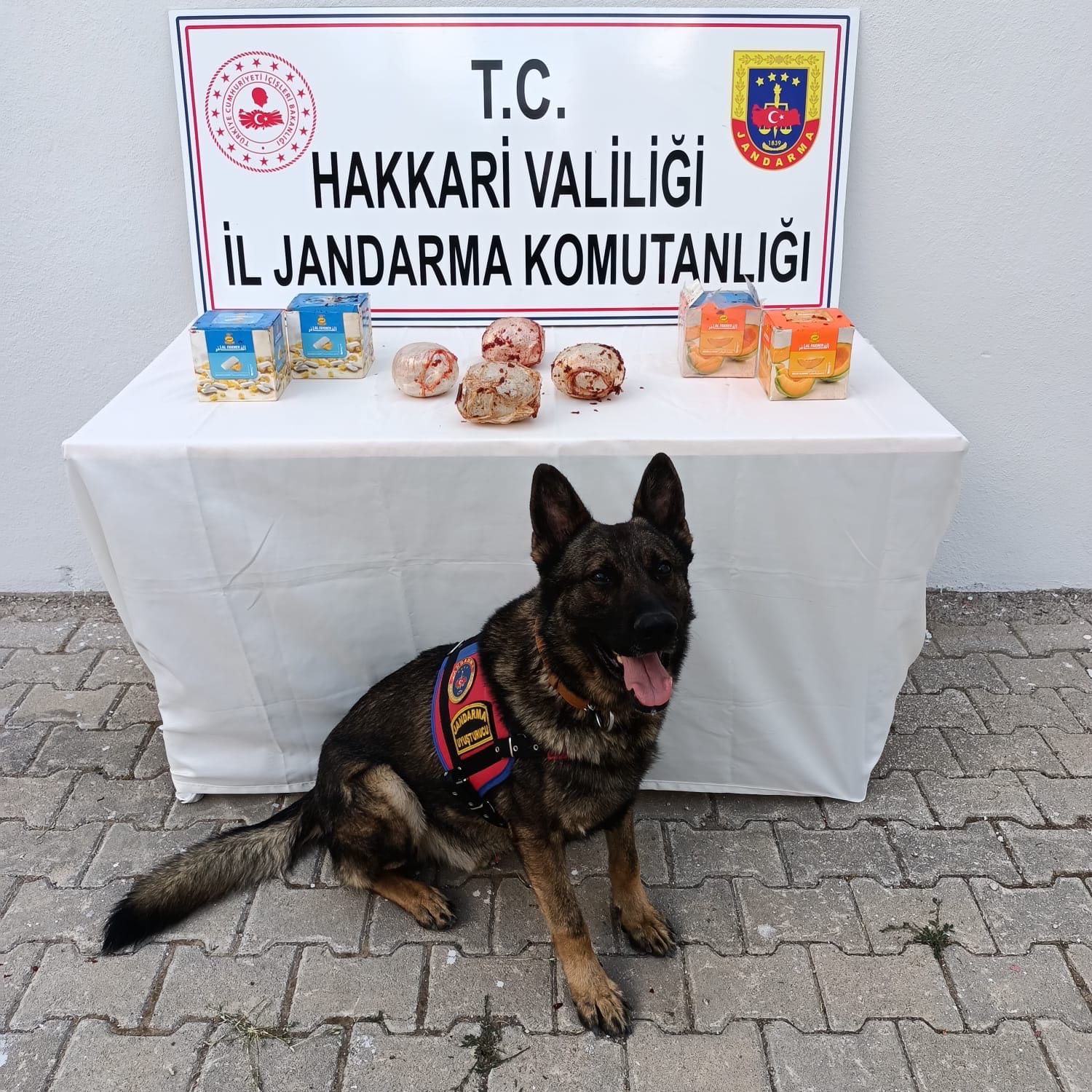 Yüksekova İlçesinde 2.000 Gram Uyuşturucu Madde Ele Geçirildi