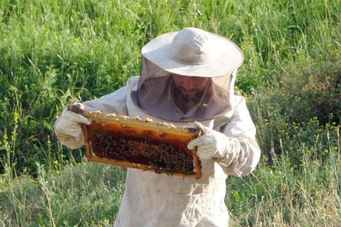 Devletin desteğiyle aracılık yapmaya başladı