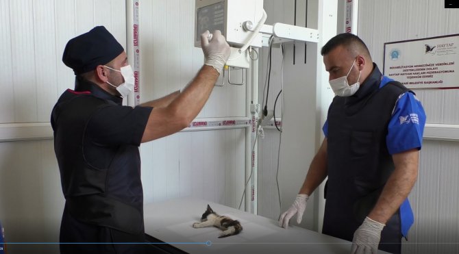 Hakkari’de can dostları sevindiren haber