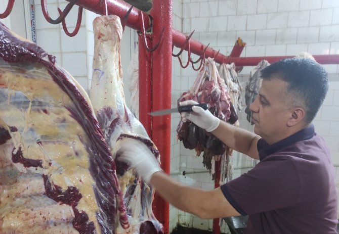 Hakkari veterineri tedbirleri elden bırakmıyor
