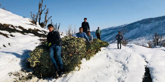 Hayvanları için Balkaya Dağı'ndan kızakla ot ve yaprak getiriyorlar