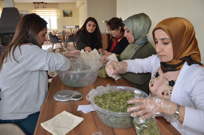Hakkari'nin ilk kadın kooperatifinin büyük başarısı