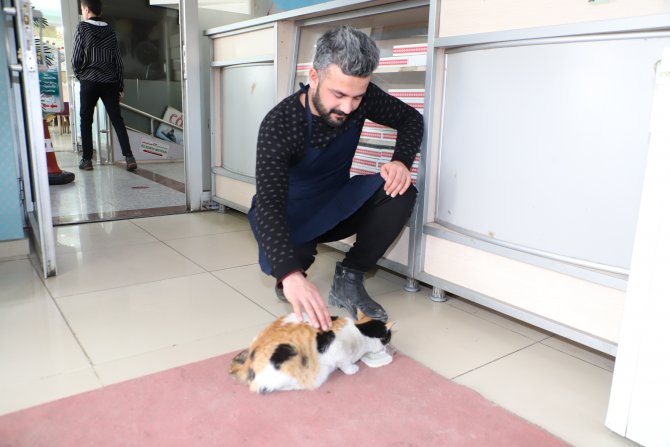 Hakkari'de doğum yapmış kediye şefkat eli